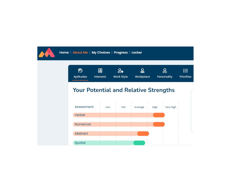 Morrisby Assessment for career guidance